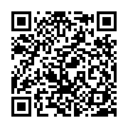 QR code for 295LJI
