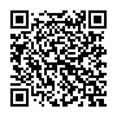 QR code for 295MNL