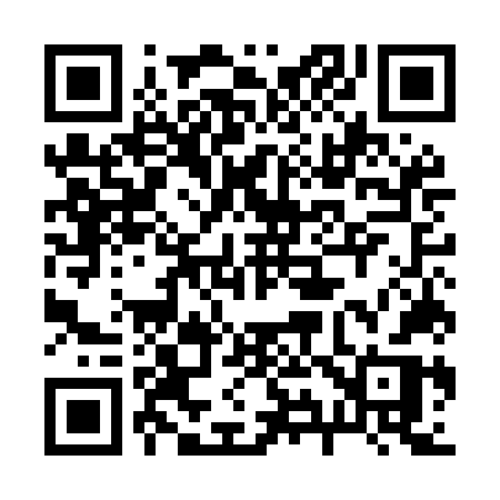 QR code for 295MNR