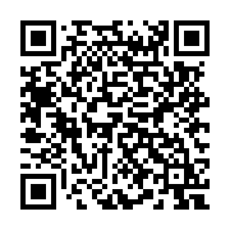 QR code for 295MSZ