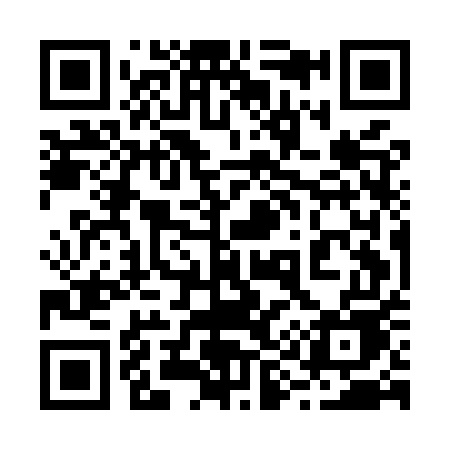 QR code for 295MUE