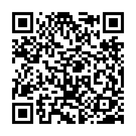 QR code for 295NDY