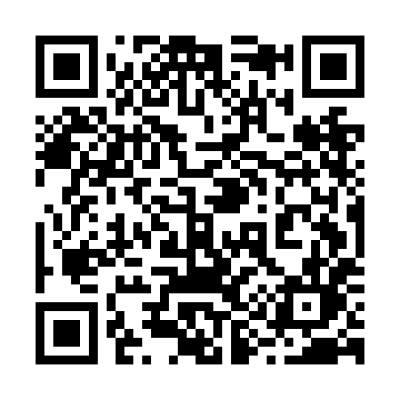 QR code for 295NHL