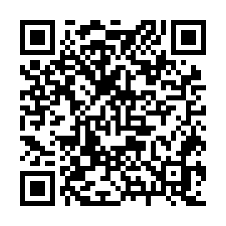 QR code for 295NOJ