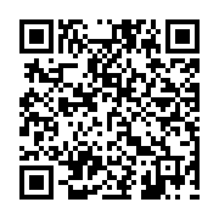 QR code for 295OBT