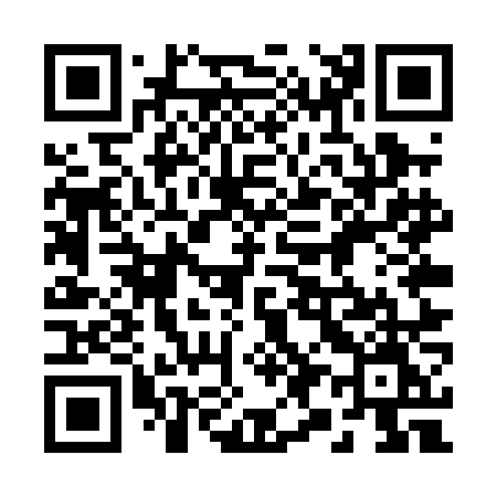 QR code for 295PNM