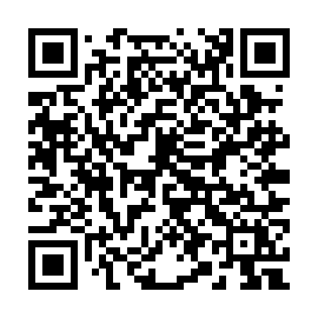 QR code for 295PNX
