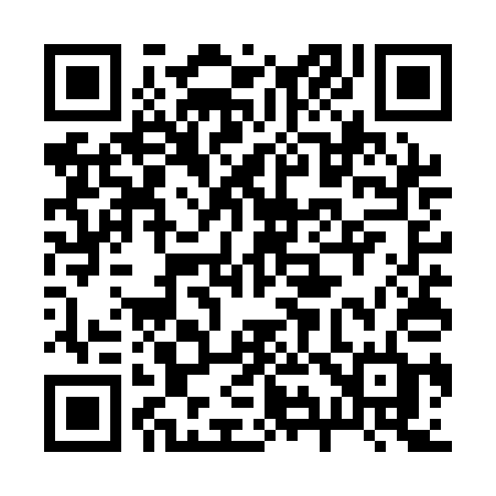 QR code for 295QAD