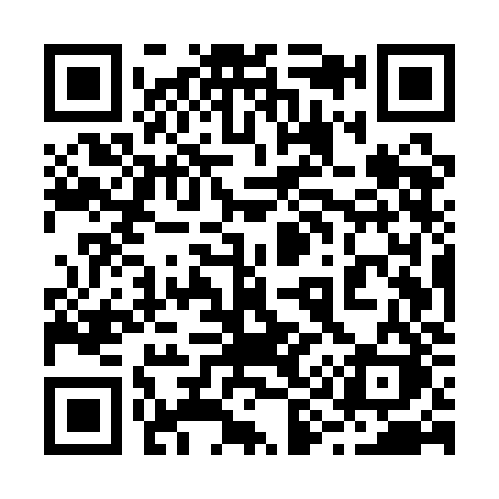 QR code for 295QJK