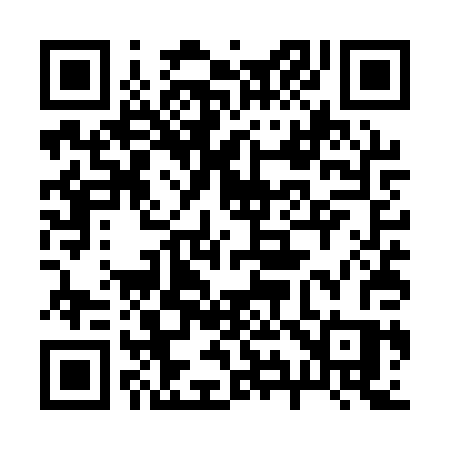 QR code for 295QPS