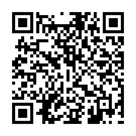 QR code for 295SBL