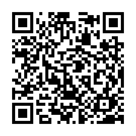 QR code for 295SSL