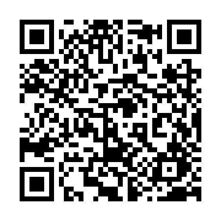 QR code for 295SZN