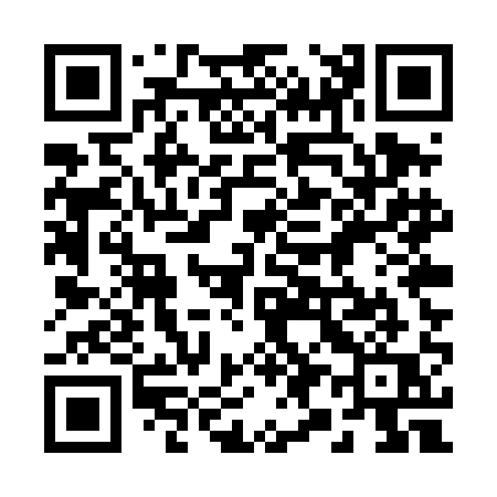 QR code for 295TAQ