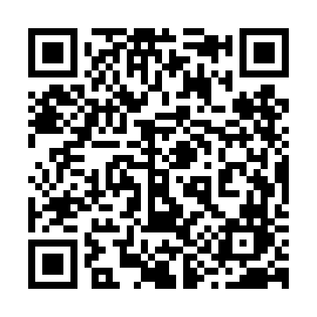 QR code for 295TFN