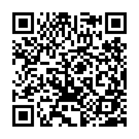 QR code for 295TMJ
