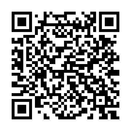 QR code for 295TPM