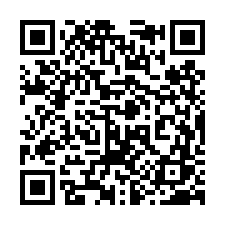 QR code for 295TVS