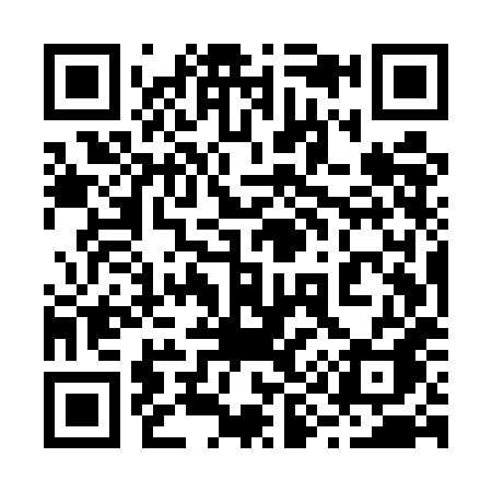 QR code for 295UHA
