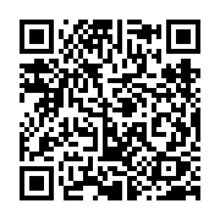 QR code for 295VGX