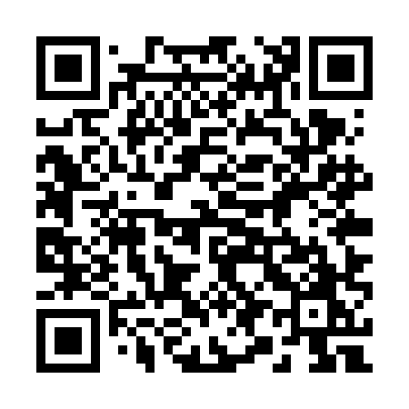 QR code for 295VHO