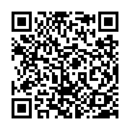 QR code for 295WQY