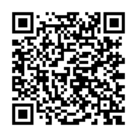 QR code for 295XHH
