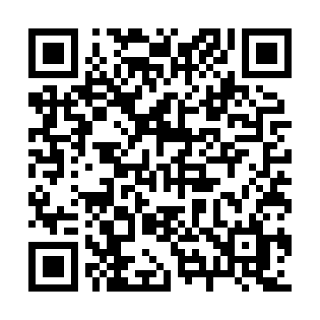 QR code for 295XSL