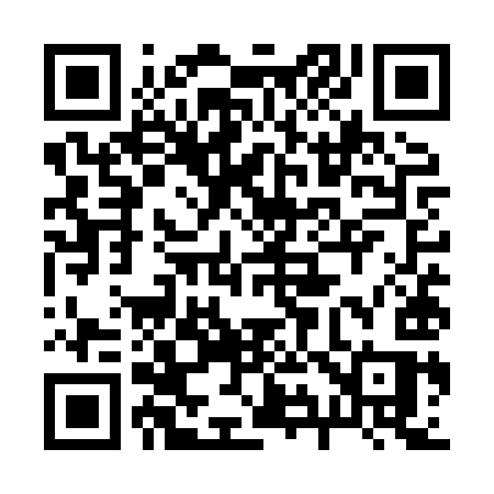 QR code for 295XYS