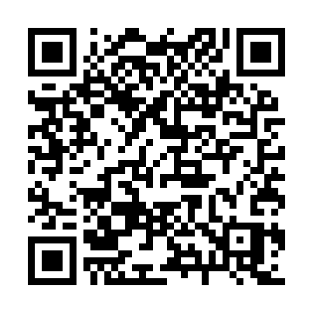 QR code for 295YSS