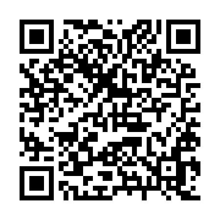 QR code for 295YYN