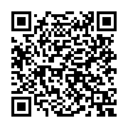 QR code for 298MSP