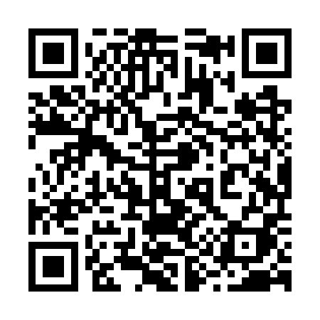 QR code for 298WPI