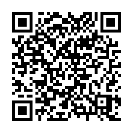 QR code for 299ASS