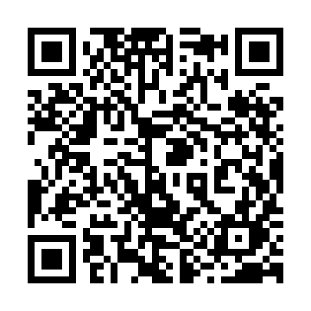QR code for 299XIL
