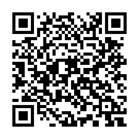 QR code for 300DSD