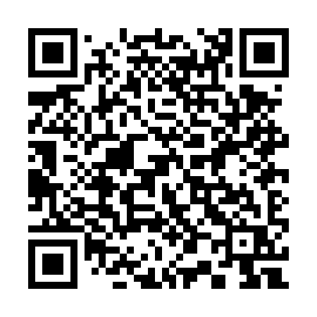 QR code for 300DYR