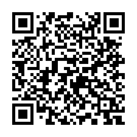 QR code for 300DZP