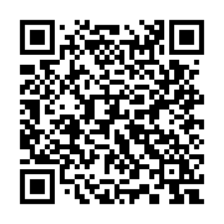 QR code for 300EVY