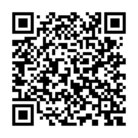 QR code for 300FLI