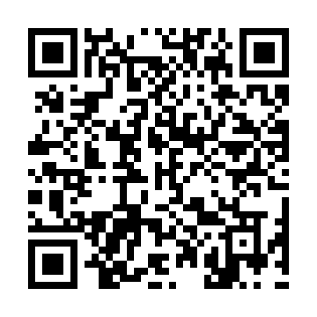 QR code for 300SOO