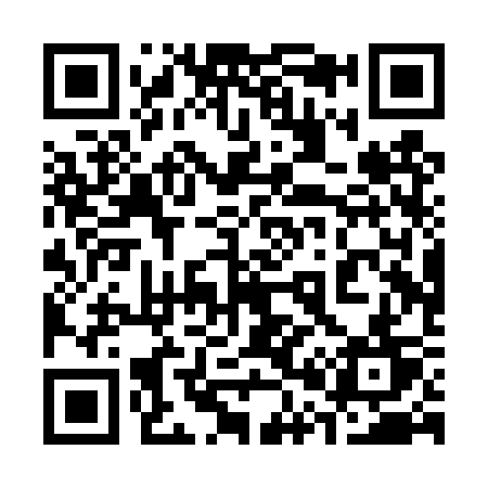 QR code for 300TST