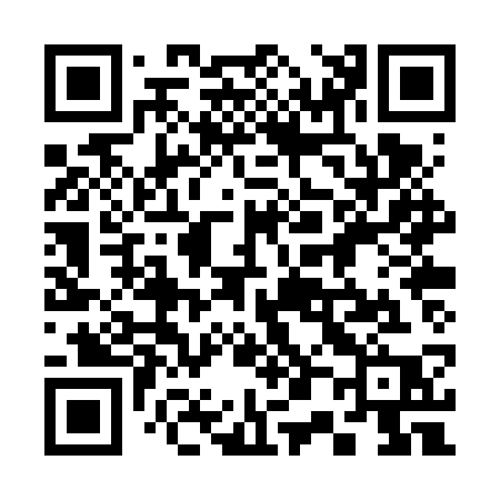 QR code for 300VSP