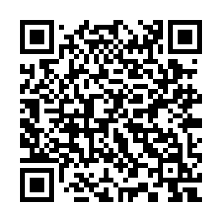 QR code for 301PIN