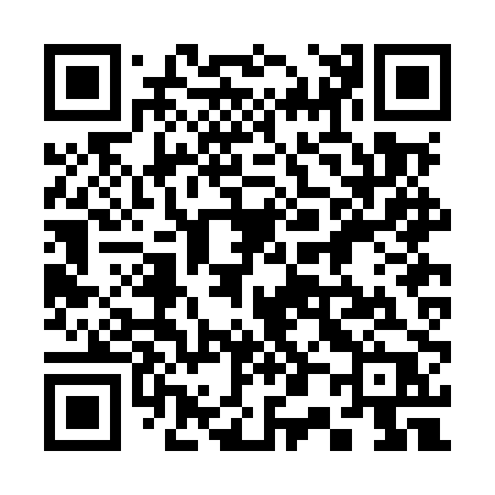 QR code for 302MPP