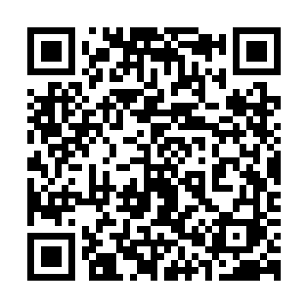 QR code for 303SFI