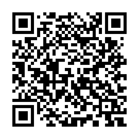 QR code for 305FZS