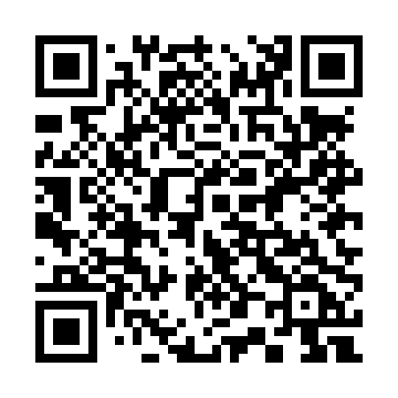 QR code for 305LPF
