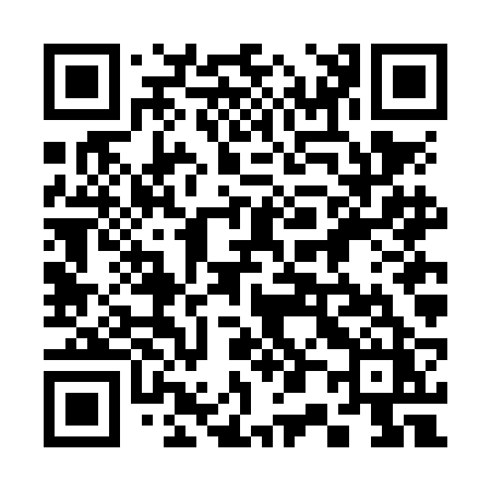 QR code for 306NBZ