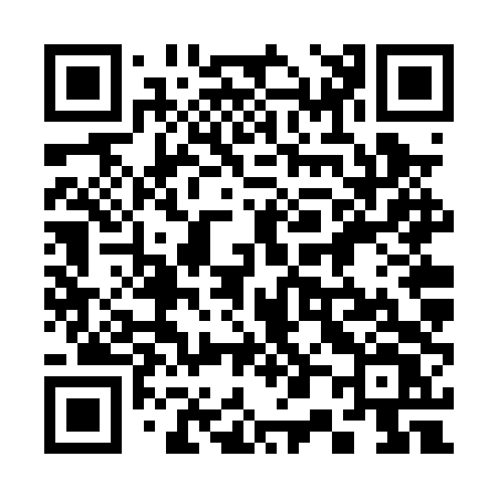 QR code for 306PTV